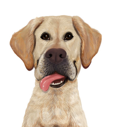 Cute Dog Portrait with Tongue Out