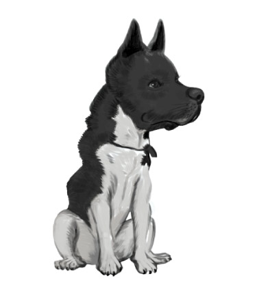 Full Body Drawing of a Dog